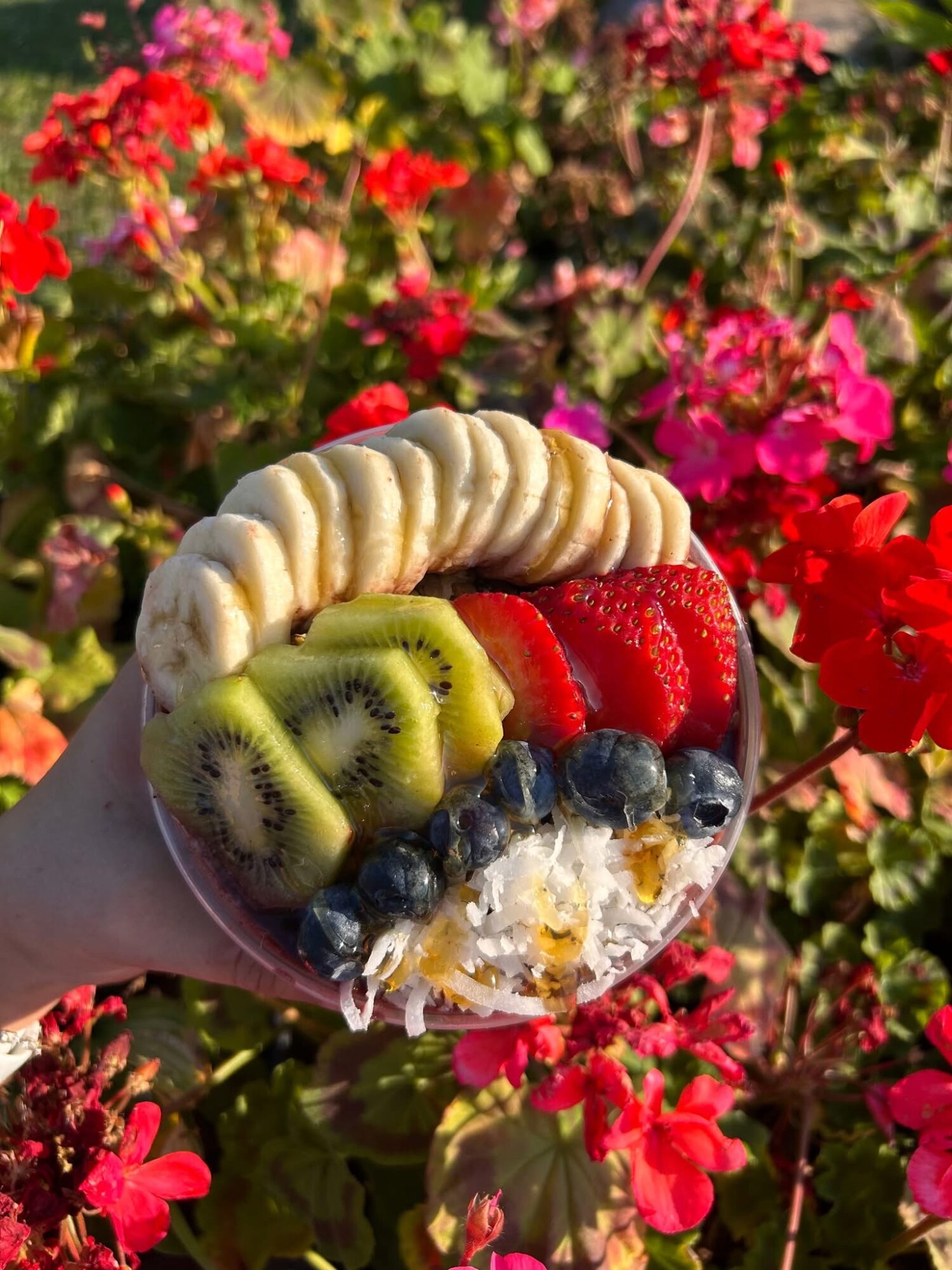 Hand holding a bowl of sliced bananas, kiwi, strawberries, blueberries, and cream with colorful flowers in background.