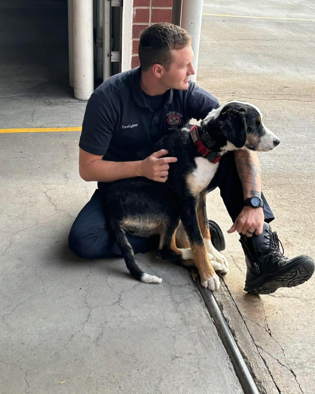 Person sitting on ground with a black and white dog outdoors near a building.