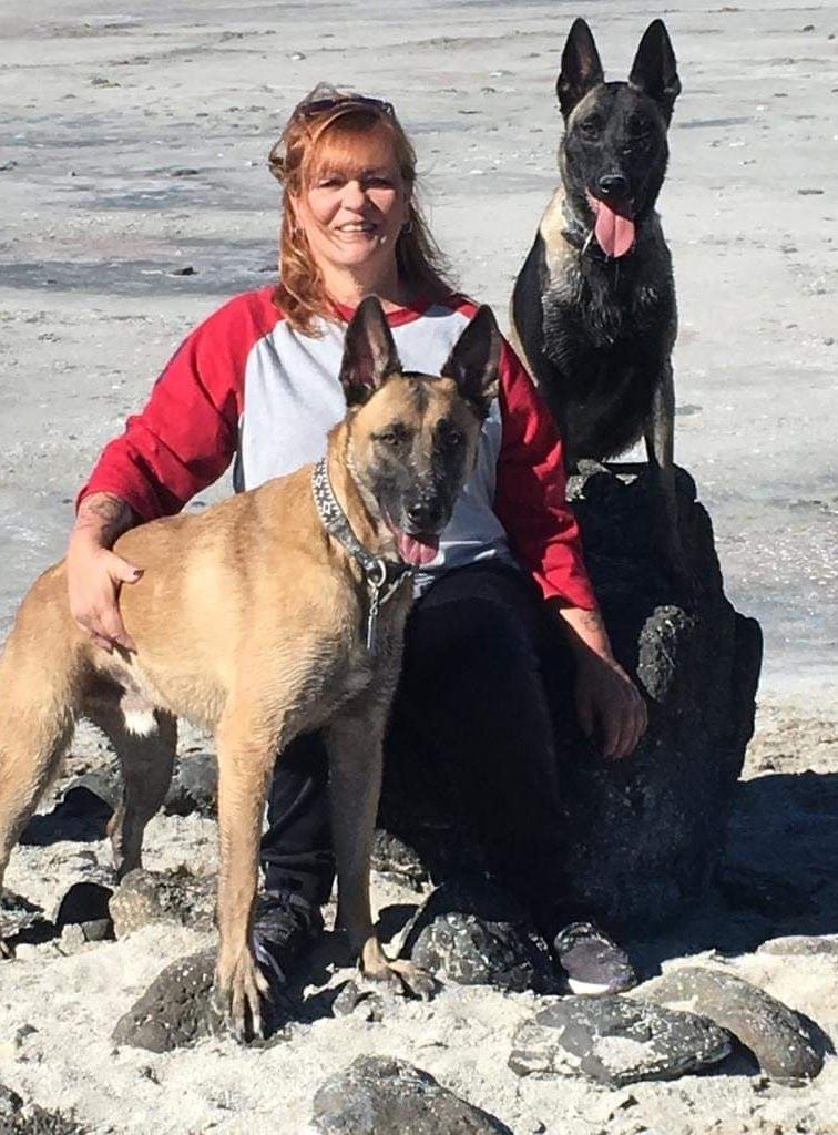 Woman with two large dogs on rocky beach, one sitting and one standing, both with pointed ears and black markings.