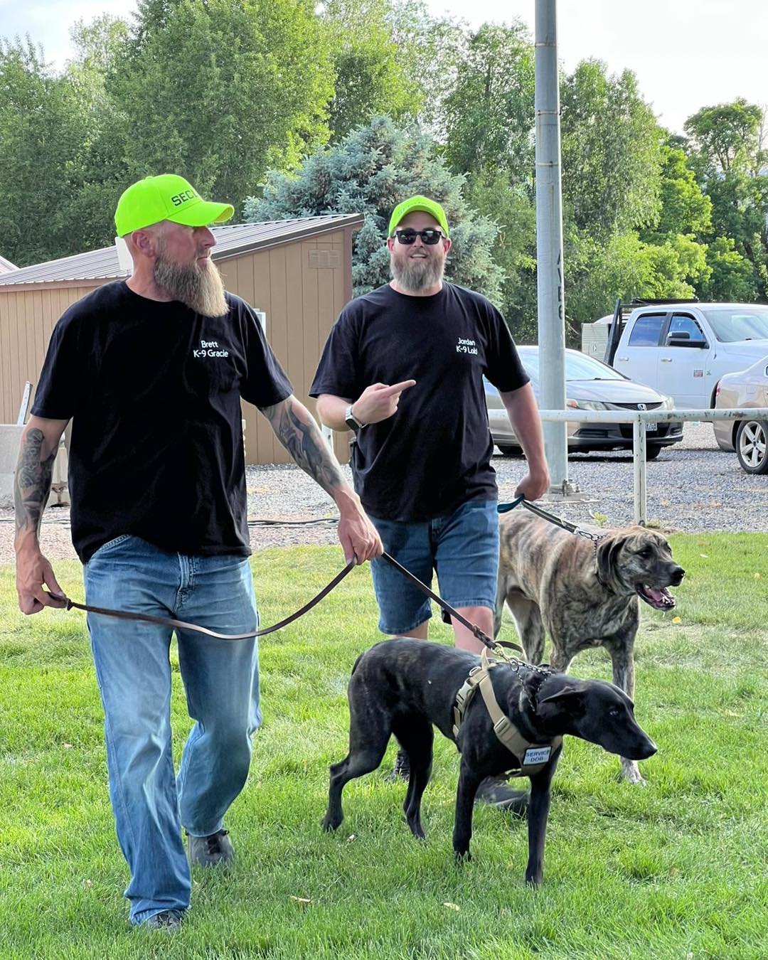 Two men walk two dogs on a grassy area with trees and parked cars in the background.