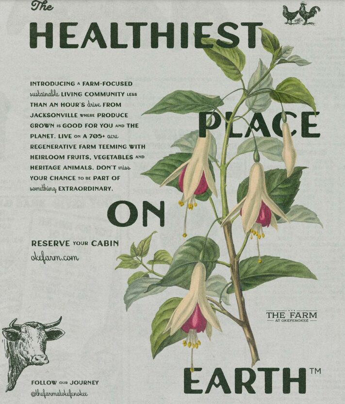 Plant with hanging pink and white flowers, green leaves, and text about health and earth.